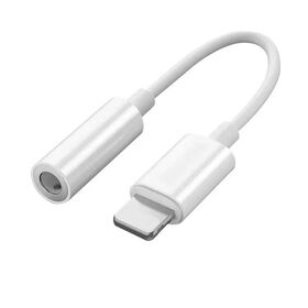 Adaptor